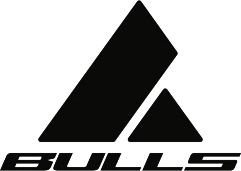 logo-bulls-2017-12