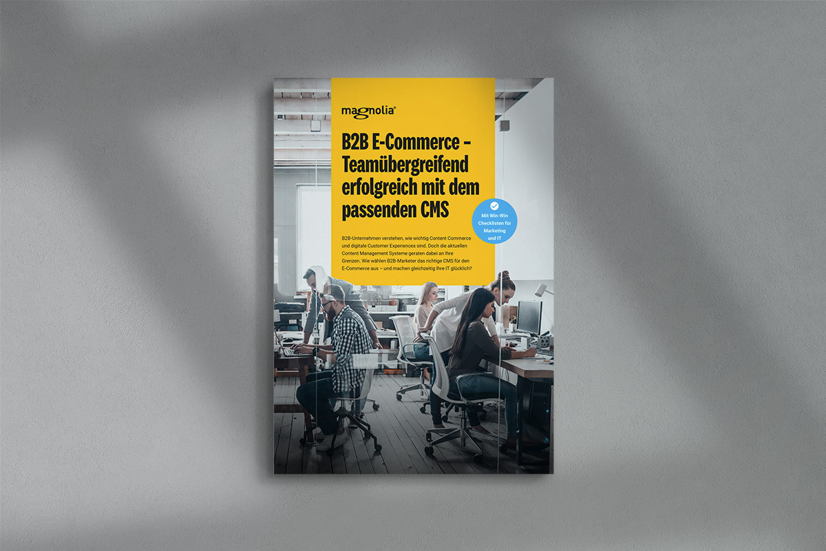 Mockup_B2B E-Commerce CMS